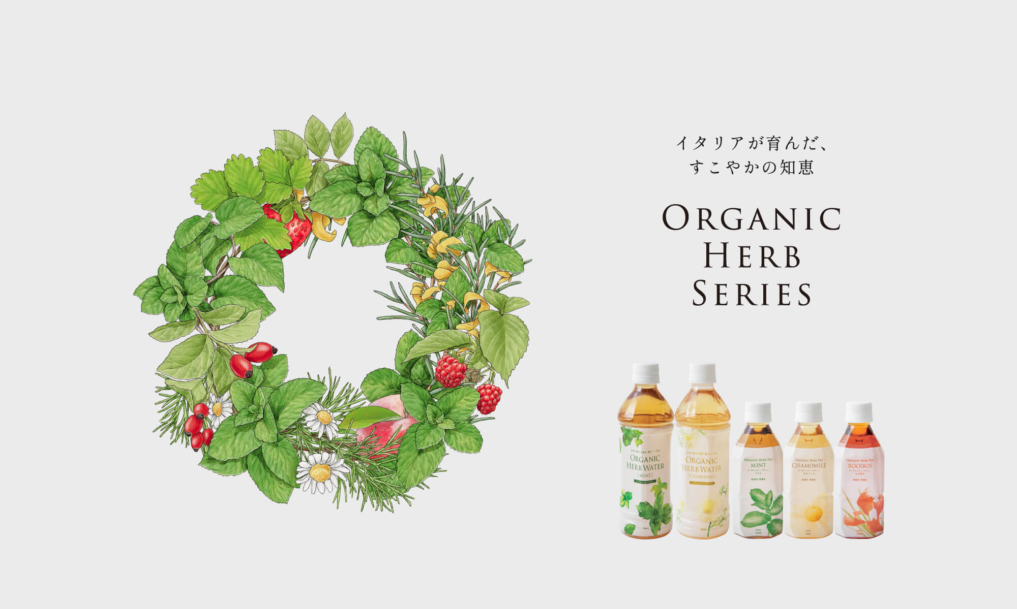 Organic Herb Series | 株式会社ビーエイチ | 理美容・エステサロン向けオリジナル商品の企画開発